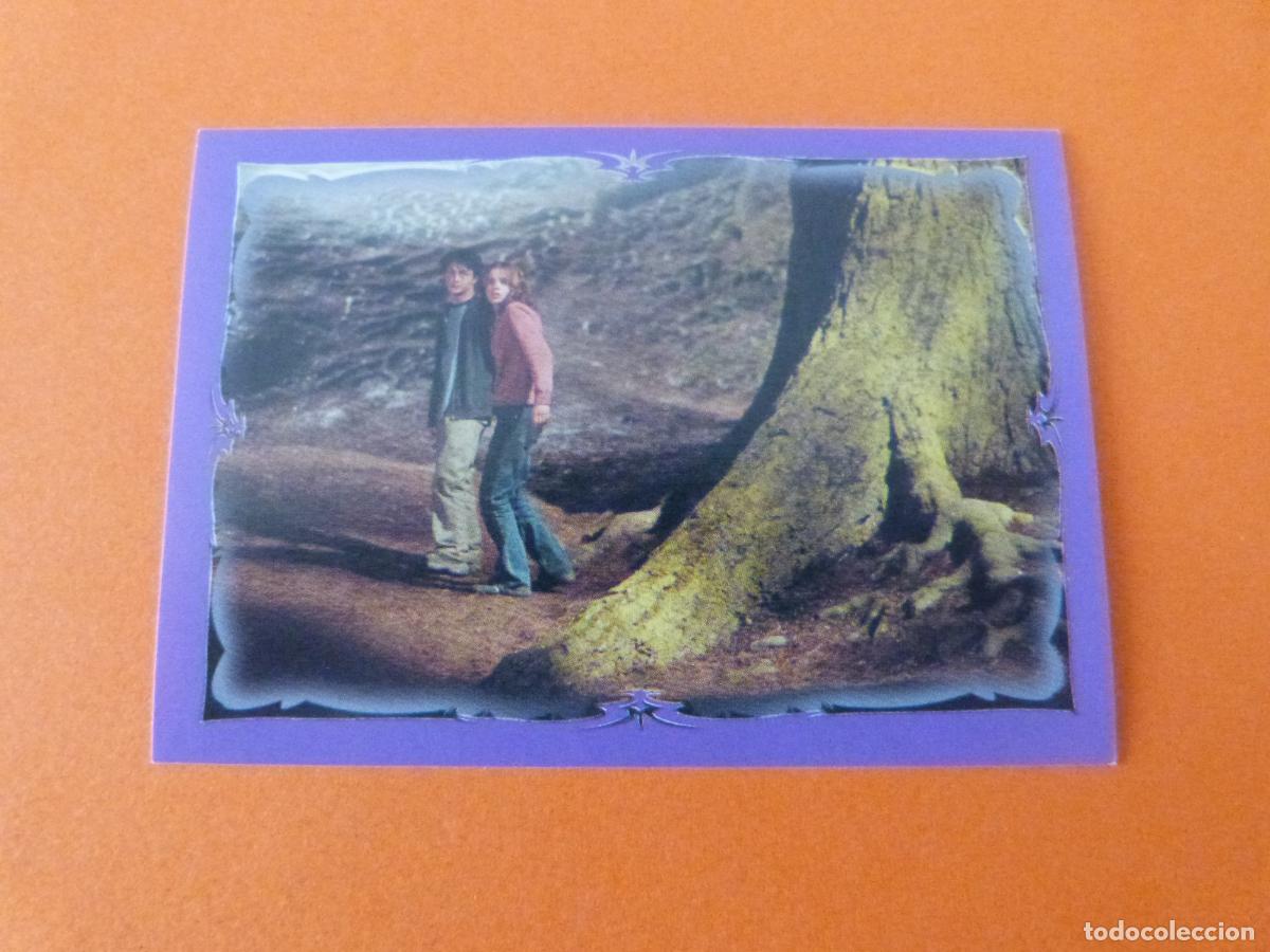 Coleccionismo Cromos antiguos: CROMO HARRY POTTER Y EL PRISIONERO DE AZKABAN SIN PEGAR N&ordm; 205 A&Ntilde;O 2004 ALBUM H.P. AZKABAN PANINI