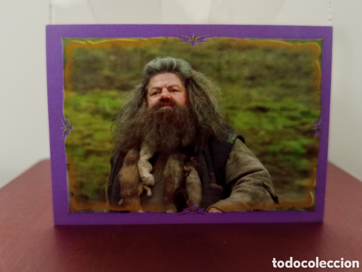 Coleccionismo Cromos antiguos: ❇️ CROMO HARRY POTTER Y EL PRISIONERO DE AZKABAN 2004 PANINI ❇️