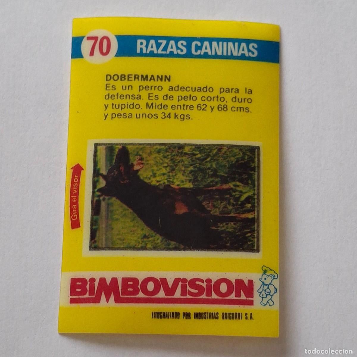 Coleccionismo Cromos antiguos: BIMBOVISION N&ordm; 70 - RAZAS CANINAS - DOBERMANN - BIMBO CROMO DIAPOSITIVA PERRO PERROS