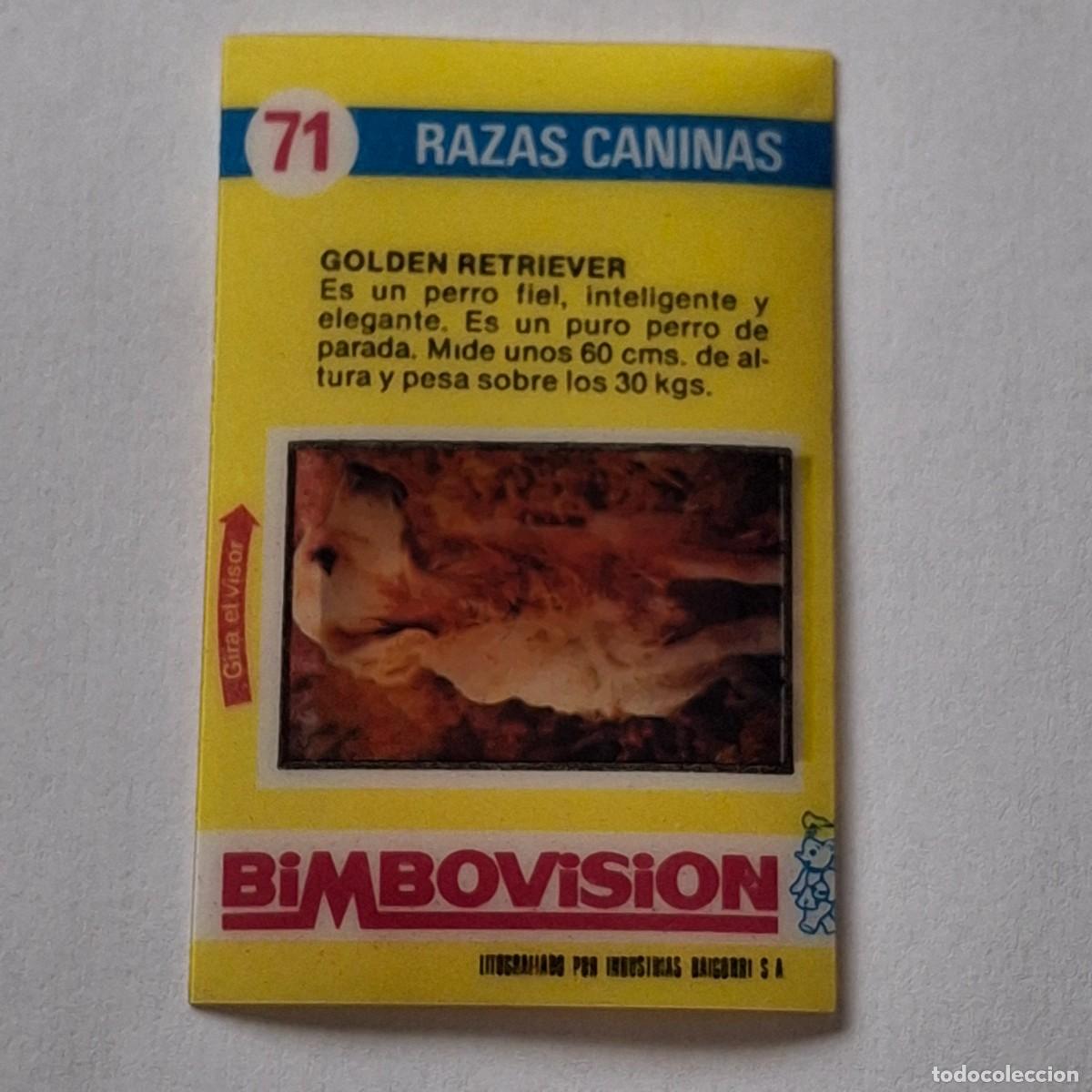 Collectionnisme Cartes &agrave; collectionner anciennes: BIMBOVISION N&ordm; 71 - RAZAS CANINAS - GOLDEN RETRIEVER - BIMBO CROMO DIAPOSITIVA PERRO PERROS