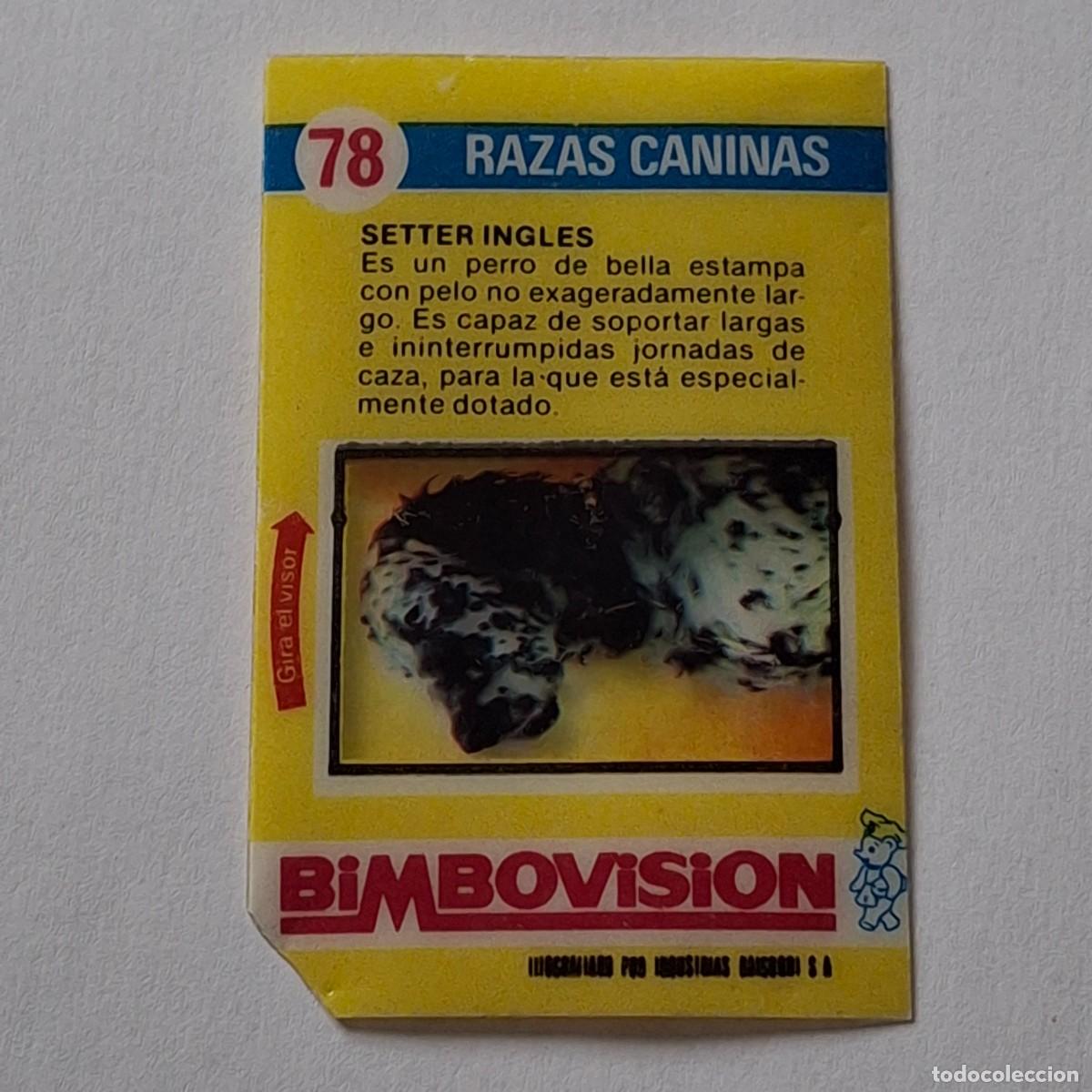 Coleccionismo Cromos antiguos: BIMBOVISION N&ordm; 78 - RAZAS CANINAS - SETTER INGLES - BIMBO CROMO DIAPOSITIVA PERRO PERROS - DEFECTO