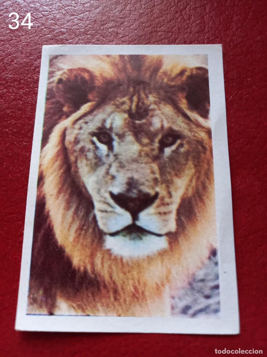 Coleccionismo Cromos antiguos: Cromo n.34 pipi calzaslargas 1974 fher (sin pegar)