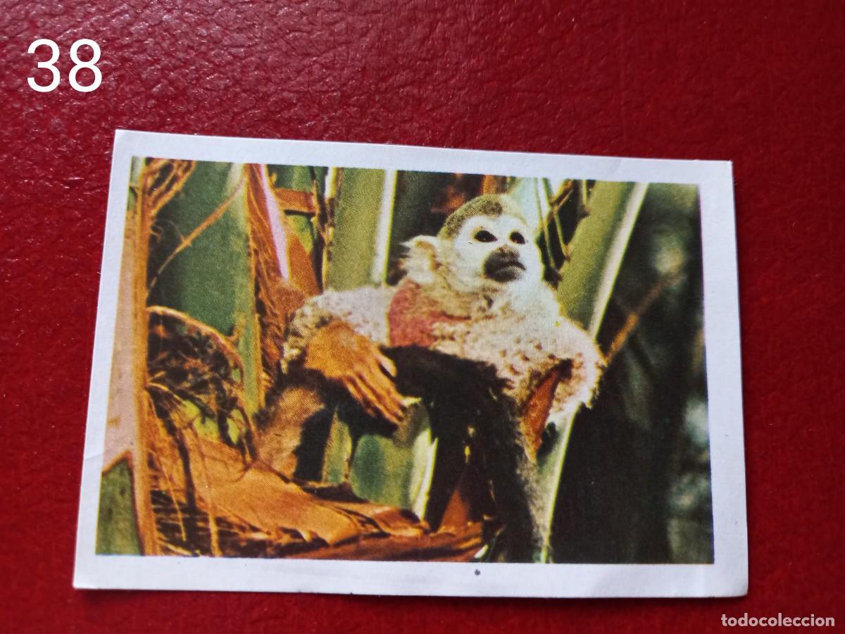 Coleccionismo Cromos antiguos: Cromo n.38 pipi calzaslargas 1974 fher (sin pegar)