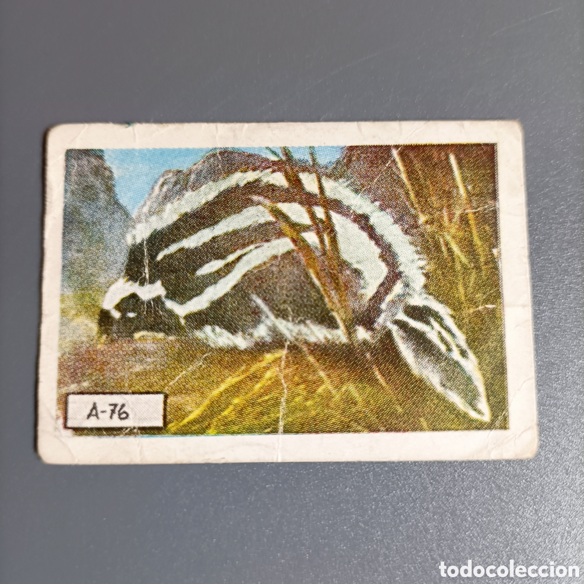 Coleccionismo Cromos antiguos: CROMO COLECCI&Oacute;N DESCONOCIDA. №A-76