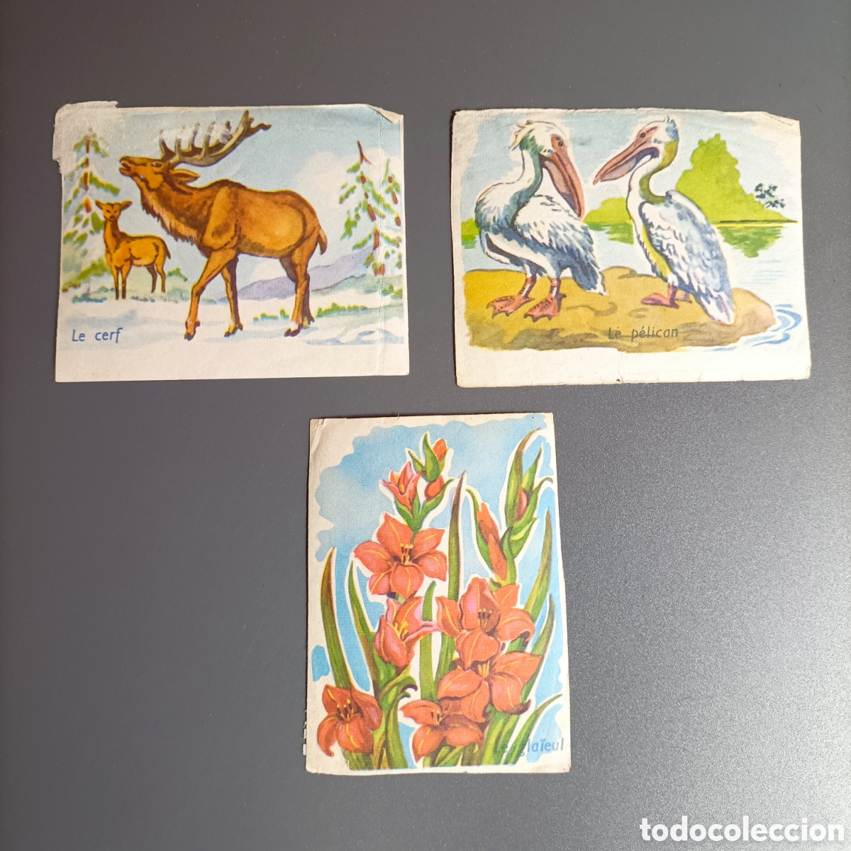 Coleccionismo Cromos antiguos: LOTE 3 CROMOS ANTIGUOS. COLECCI&Oacute;N DESCONOCIDA