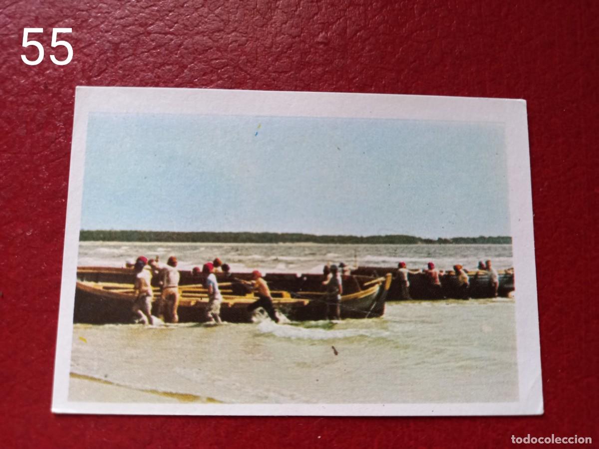 Coleccionismo Cromos antiguos: Cromo n.55 pipi calzaslargas 1974 fher (sin pegar)