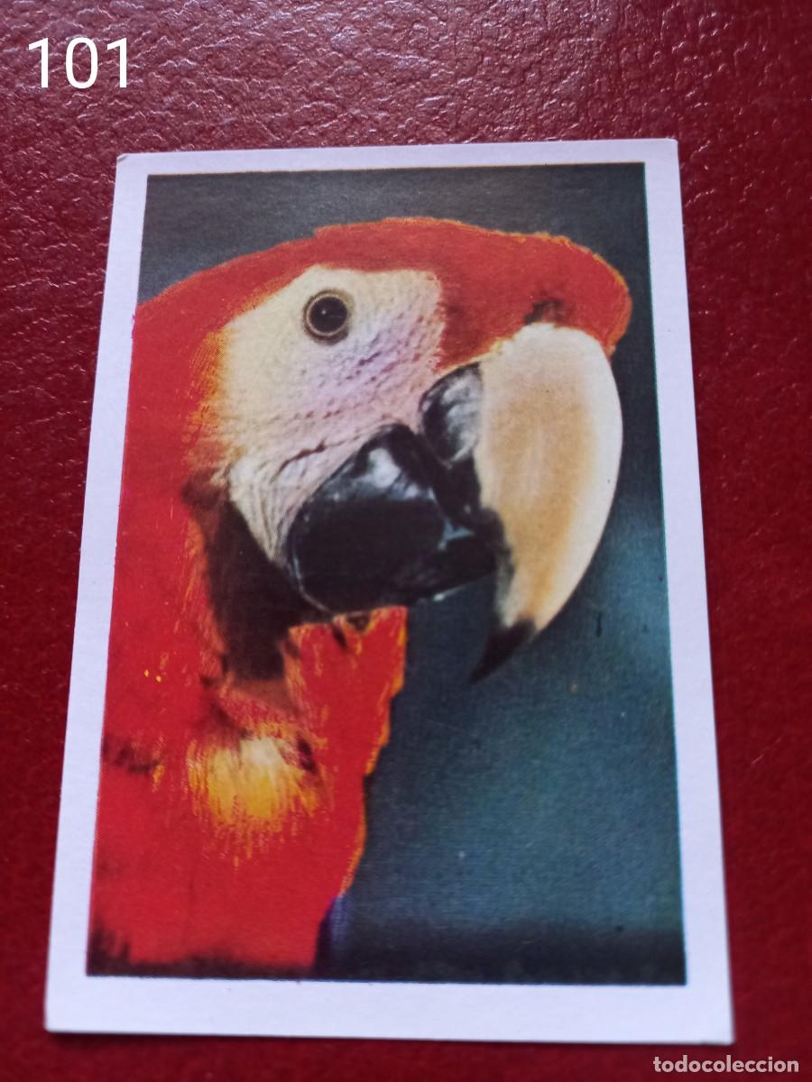 Coleccionismo Cromos antiguos: Cromo n.101 pipi calzaslargas 1974 fher (sin pegar)