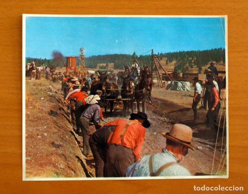 Coleccionismo Cromos antiguos: La Conquista del Oeste -Cromo N&ordm; 120 - Editorial Bruguera A&ntilde;o 1963 -Tama&ntilde;o 14,5x17,5 cm.