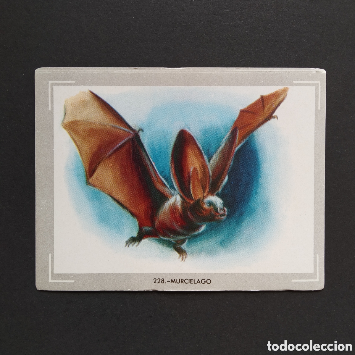 Coleccionismo Cromos antiguos: CROMO - N&deg; 228 - MURCIELAGO - VIDA Y COLOR - ED. &Aacute;LBUMES ESPA&Ntilde;OLES S.A. - A&Ntilde;O 1965