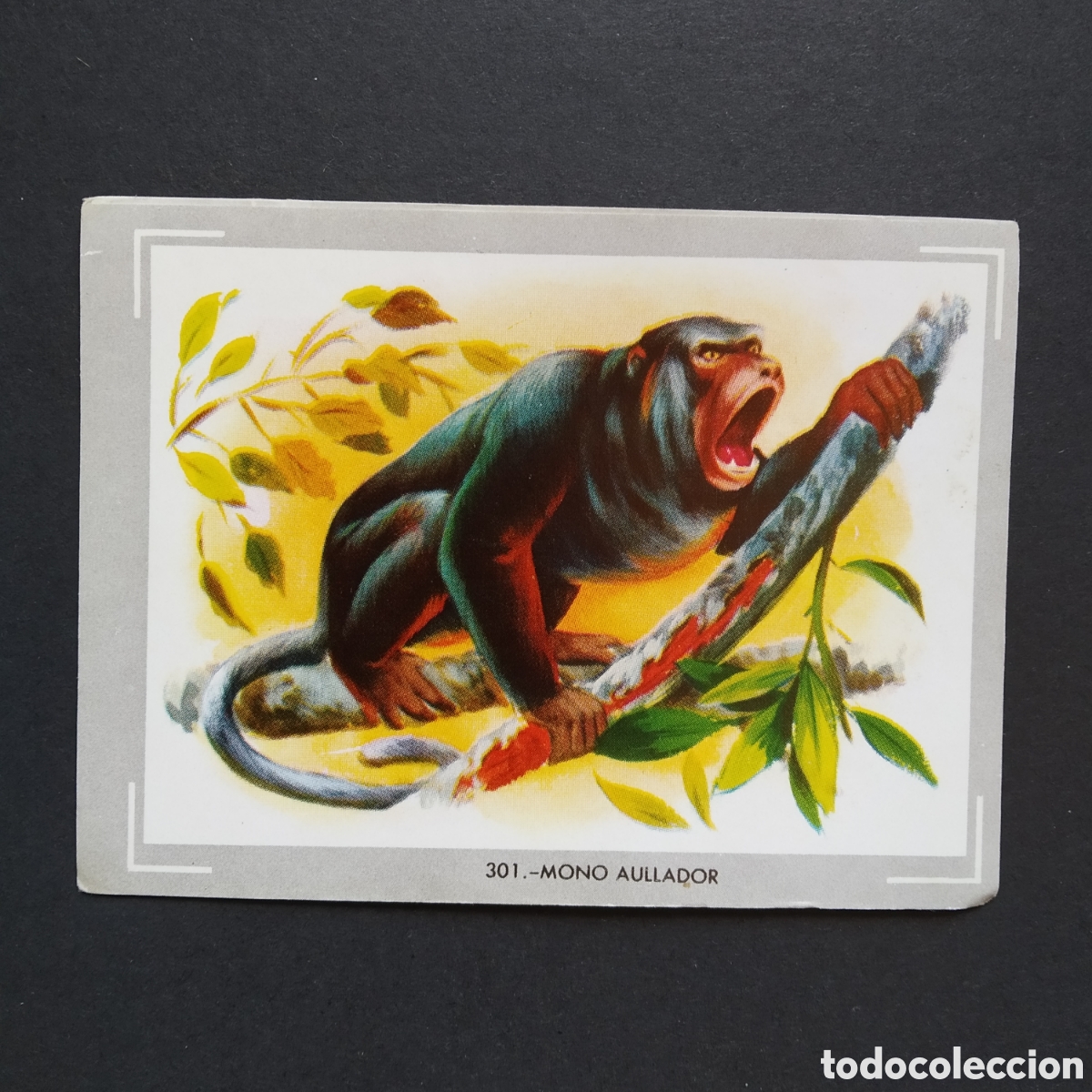 Coleccionismo Cromos antiguos: CROMO - N&deg; 301 - MONO AULLADOR - VIDA Y COLOR - ED. &Aacute;LBUMES ESPA&Ntilde;OLES S.A. - A&Ntilde;O 1965
