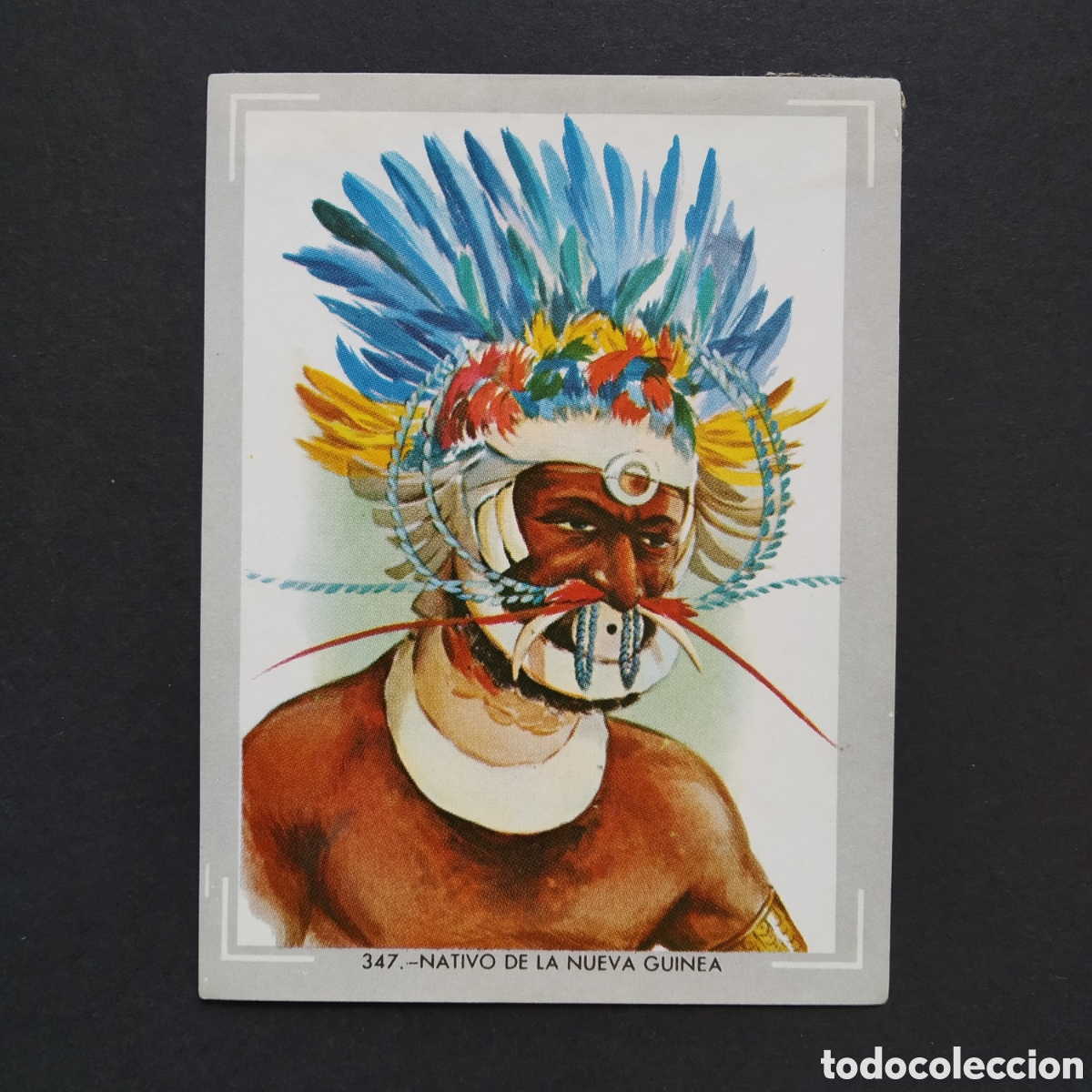 Coleccionismo Cromos antiguos: CROMO - N&deg; 347 - NATIVO DE LA NUEVA GUINEA - VIDA Y COLOR - ED &Aacute;LBUMES ESPA&Ntilde;OLES SA 1965 (DESPEGADO)