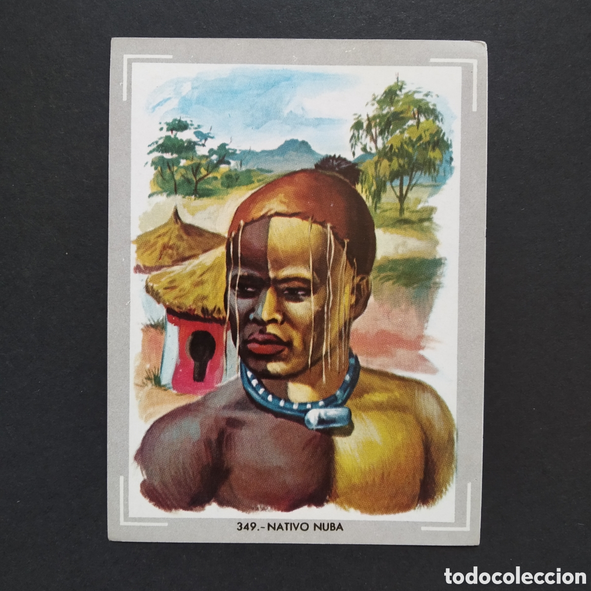 Coleccionismo Cromos antiguos: CROMO - N&deg; 349 - NATIVO NUBA - VIDA Y COLOR - ED. &Aacute;LBUMES ESPA&Ntilde;OLES S.A. - A&Ntilde;O 1965