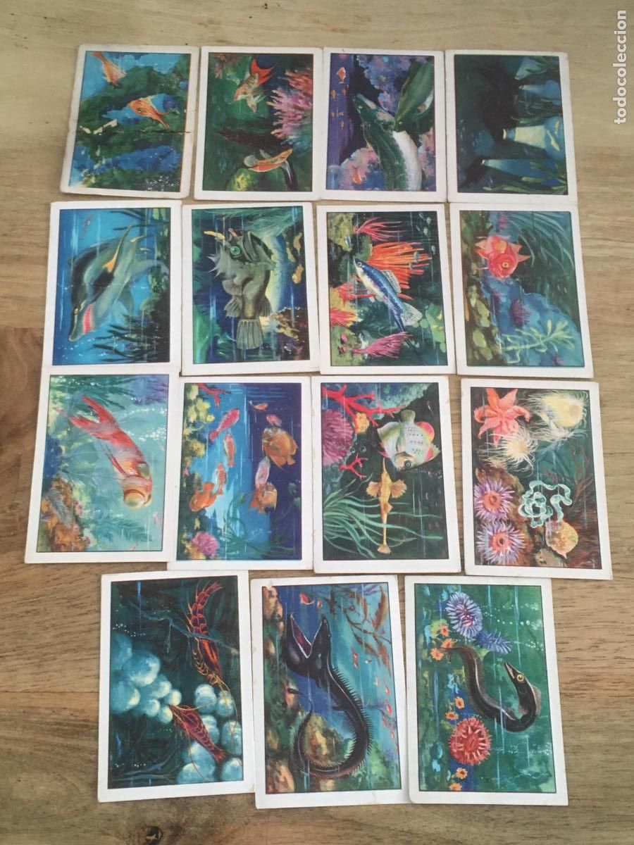 Coleccionismo Cromos antiguos: zoologia de peces chocolates solsona 15 cromos nunca pegados