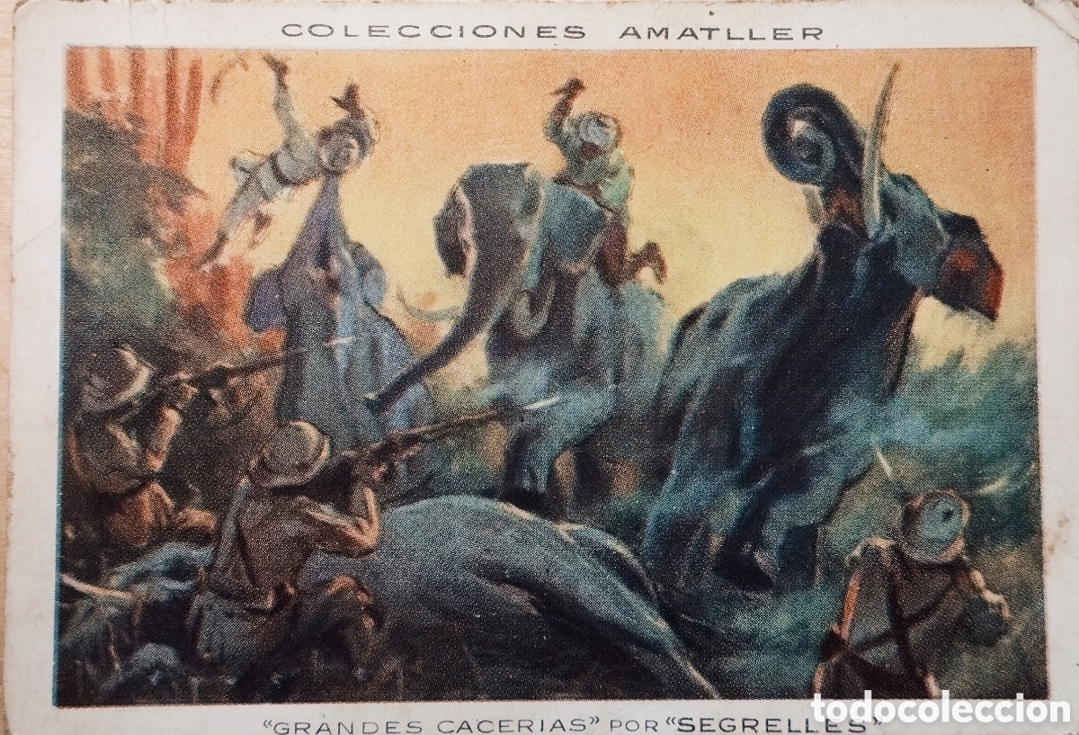 Coleccionismo Cromos antiguos: CROMOS 37 GRANDES CACERIAS - CHOCOLATES AMATLLER