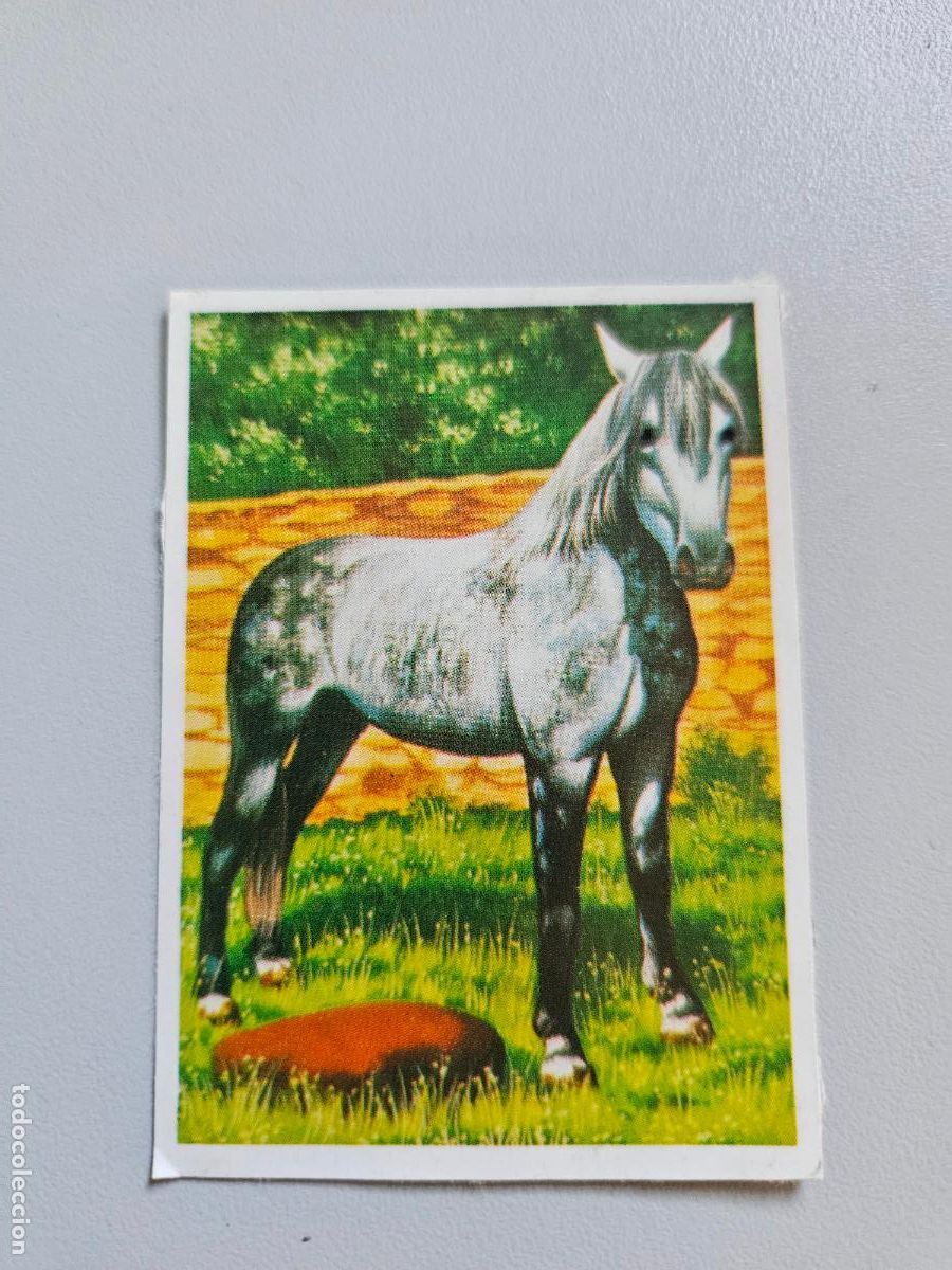 Coleccionismo Cromos antiguos: Panorama animales y plantas cromo n&ordm; 187, &aacute;lbum Maga, 1976