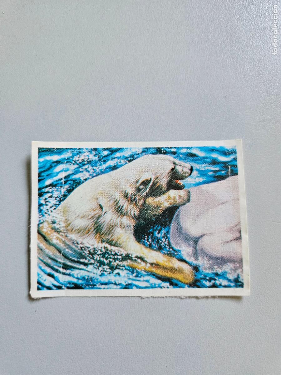 Coleccionismo Cromos antiguos: Panorama animales y plantas cromo n&ordm; 191, &aacute;lbum Maga, 1976