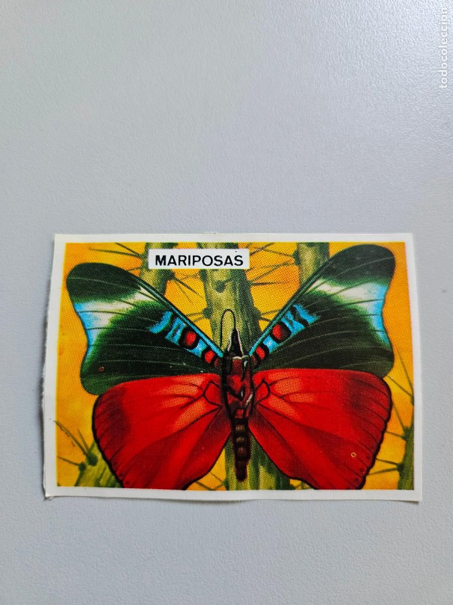 Coleccionismo Cromos antiguos: Panorama animales y plantas cromo n&ordm; 199, &aacute;lbum Maga, 1976