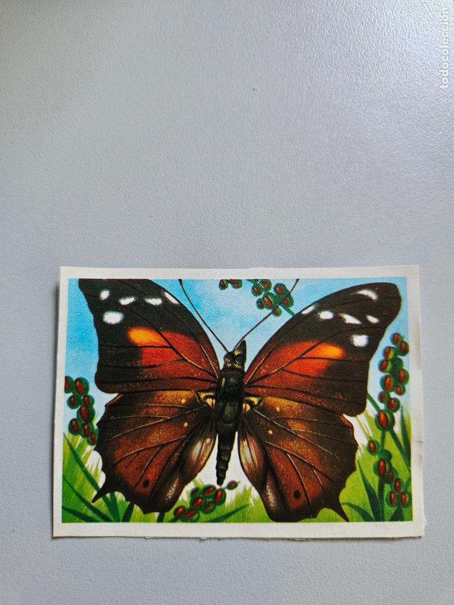 Coleccionismo Cromos antiguos: Panorama animales y plantas cromo n&ordm; 200, &aacute;lbum Maga, 1976