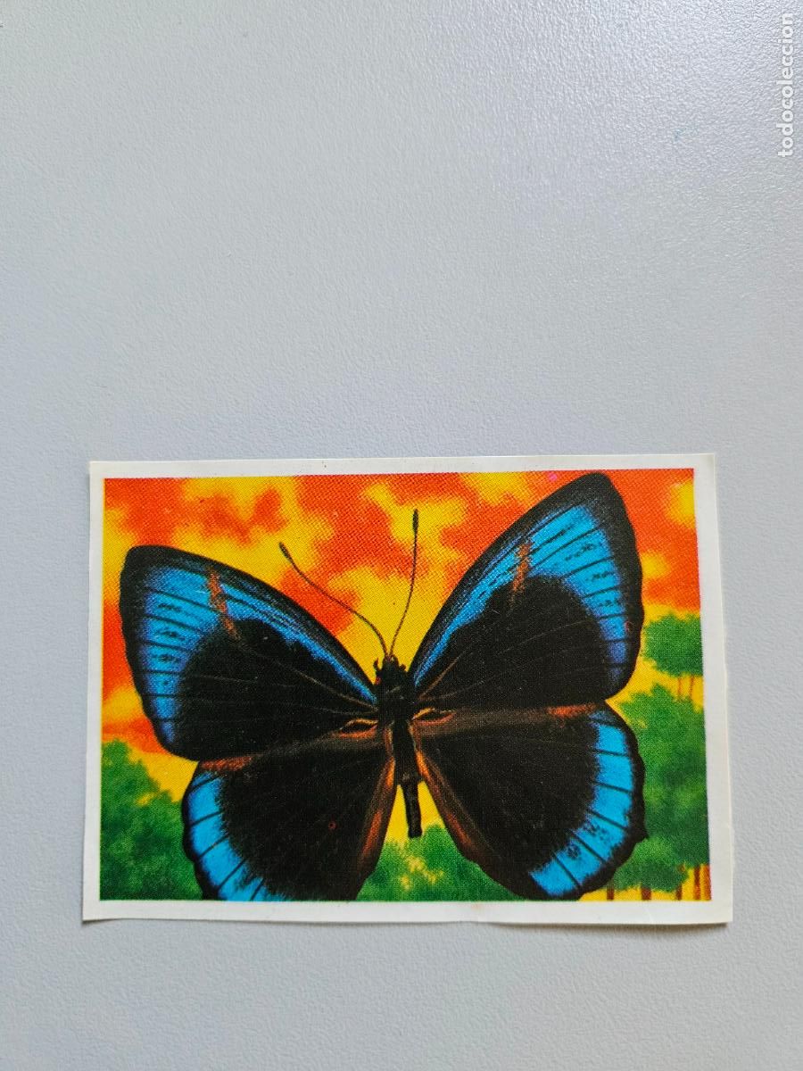 Coleccionismo Cromos antiguos: Panorama animales y plantas cromo n&ordm; 201, &aacute;lbum Maga, 1976