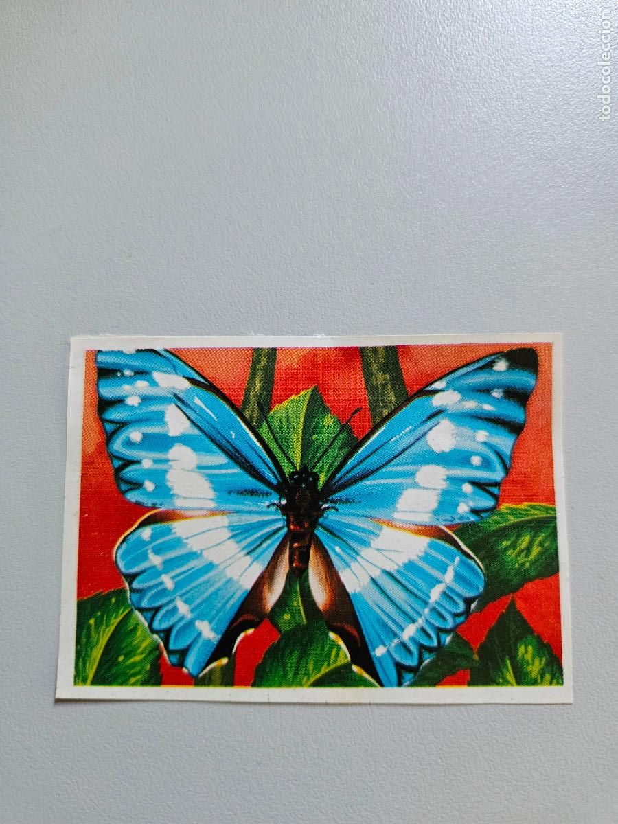 Coleccionismo Cromos antiguos: Panorama animales y plantas cromo n&ordm; 202, &aacute;lbum Maga, 1976