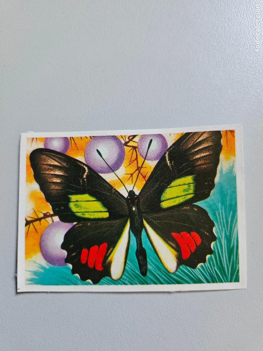 Coleccionismo Cromos antiguos: Panorama animales y plantas cromo n&ordm; 204, &aacute;lbum Maga, 1976