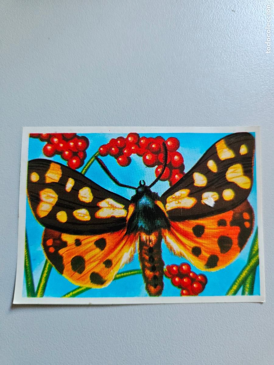 Coleccionismo Cromos antiguos: Panorama animales y plantas cromo n&ordm; 205, &aacute;lbum Maga, 1976