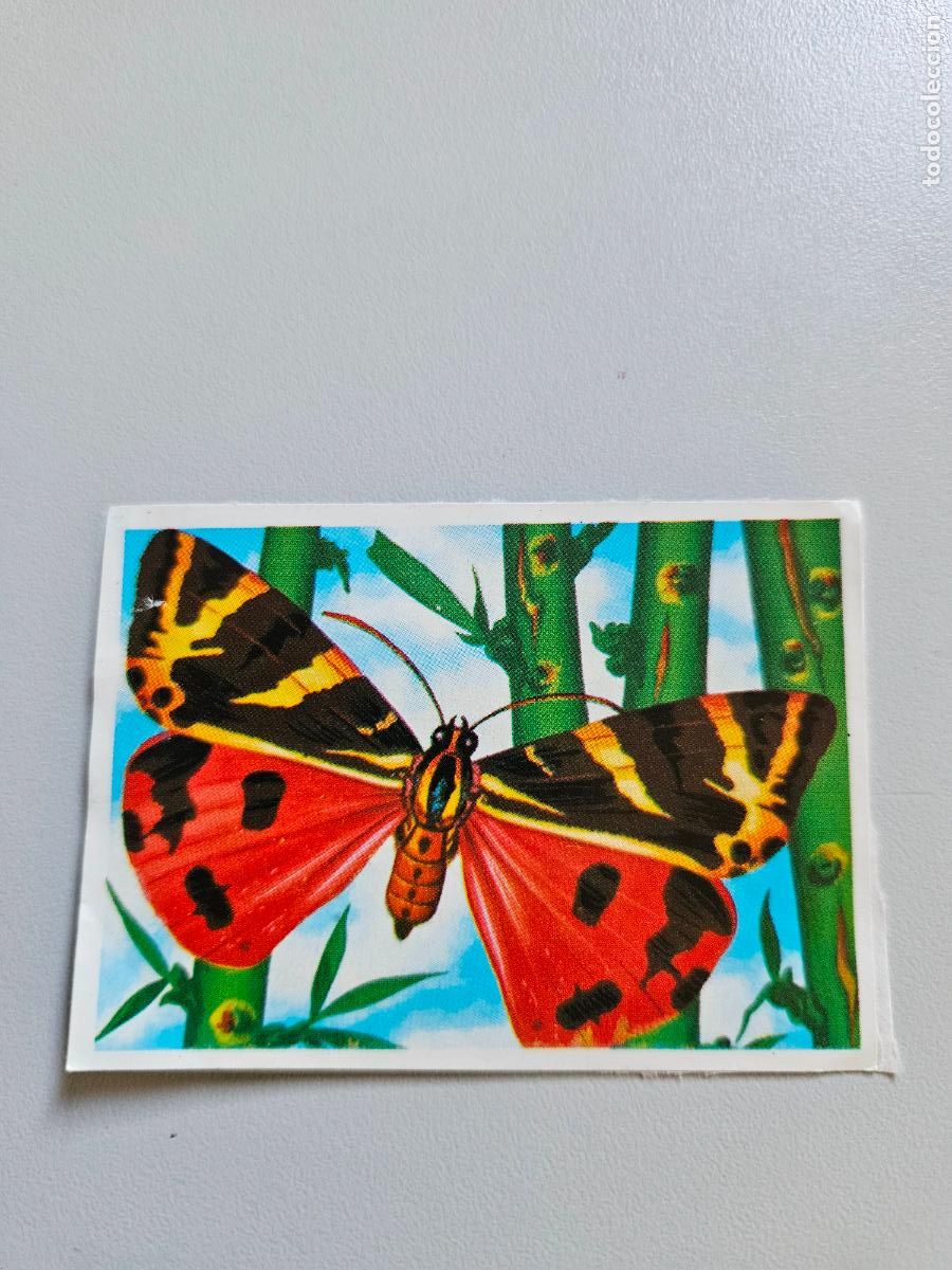 Coleccionismo Cromos antiguos: Panorama animales y plantas cromo n&ordm; 206, &aacute;lbum Maga, 1976