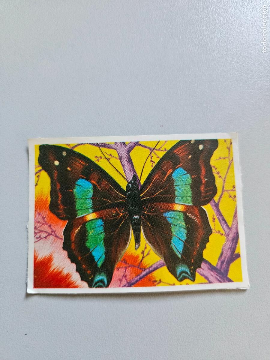 Coleccionismo Cromos antiguos: Panorama animales y plantas cromo n&ordm; 210, &aacute;lbum Maga, 1976