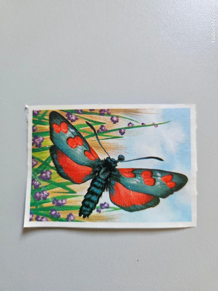 Coleccionismo Cromos antiguos: Panorama animales y plantas cromo n&ordm; 213, &aacute;lbum Maga, 1976