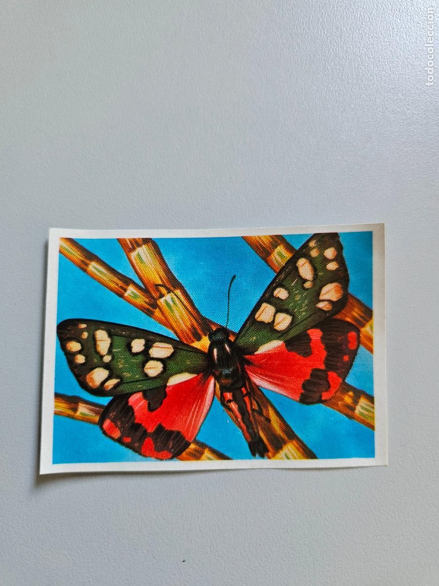 Coleccionismo Cromos antiguos: Panorama animales y plantas cromo n&ordm; 214, &aacute;lbum Maga, 1976