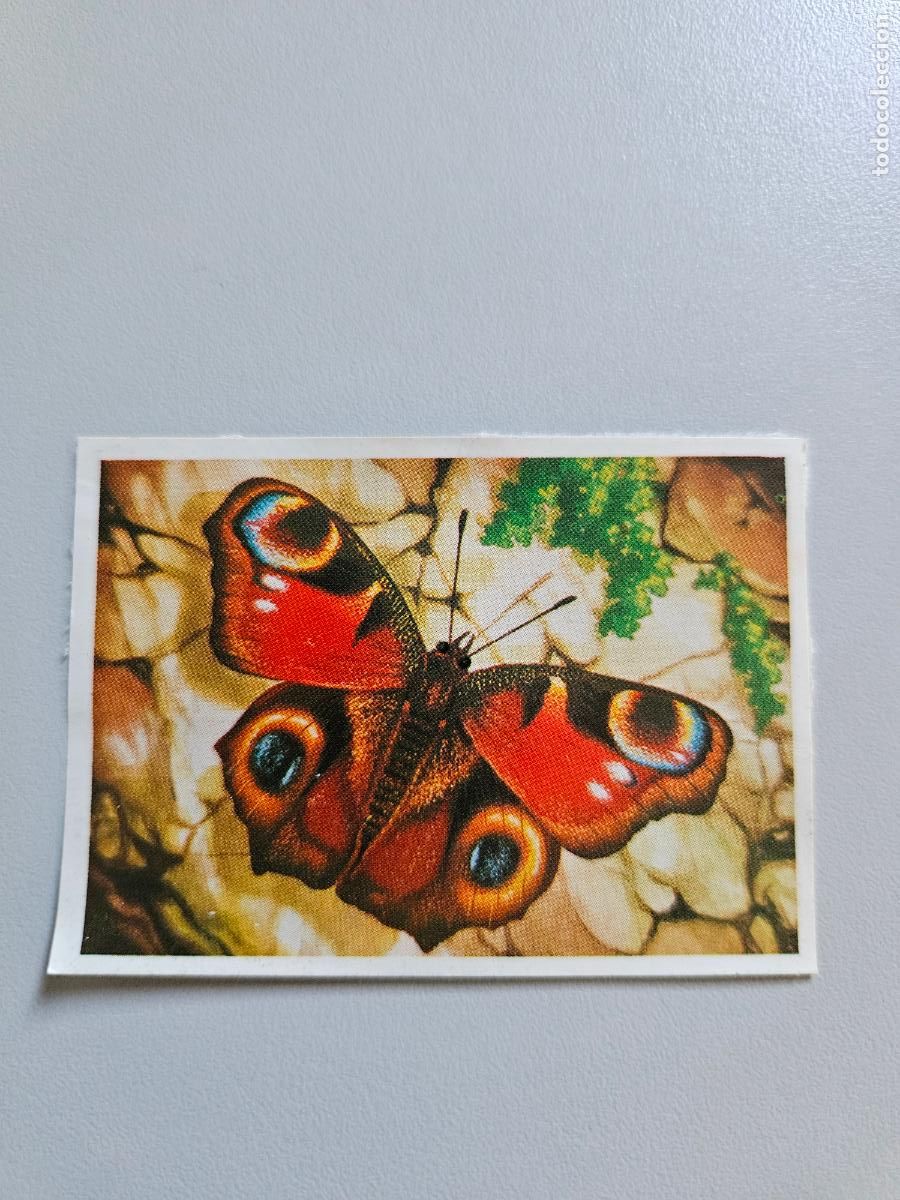 Coleccionismo Cromos antiguos: Panorama animales y plantas cromo n&ordm; 215, &aacute;lbum Maga, 1976