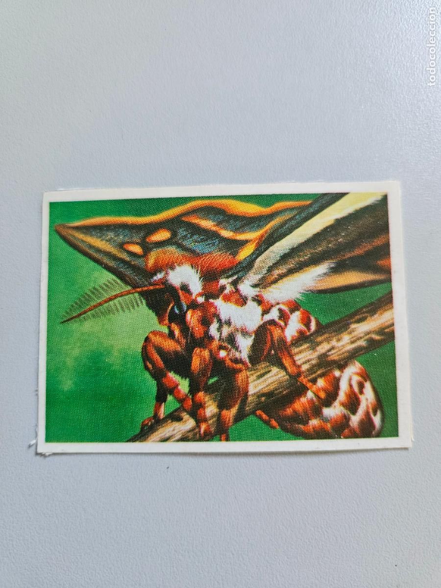 Coleccionismo Cromos antiguos: Panorama animales y plantas cromo n&ordm; 216, &aacute;lbum Maga, 1976