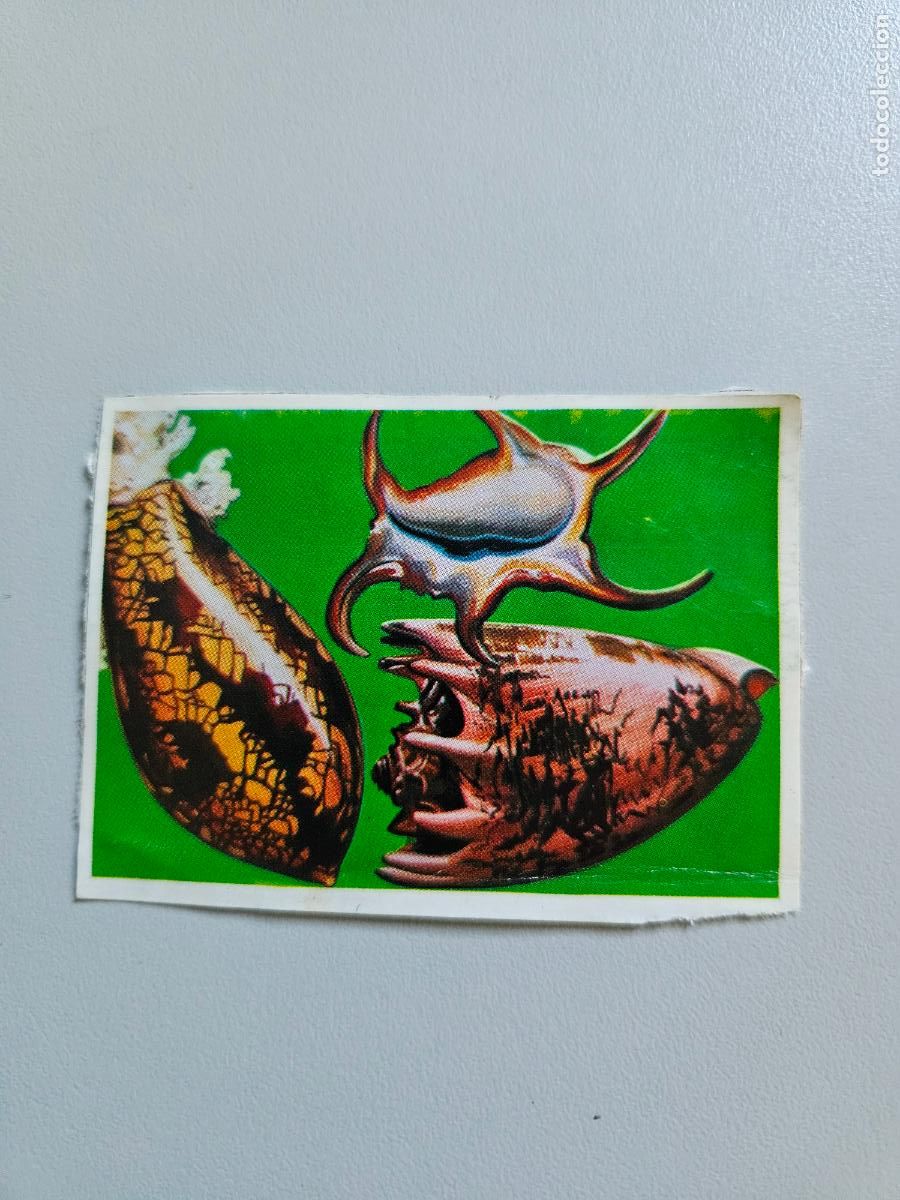 Coleccionismo Cromos antiguos: Panorama animales y plantas cromo n&ordm; 226, &aacute;lbum Maga, 1976