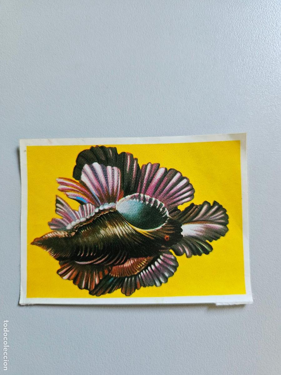 Coleccionismo Cromos antiguos: Panorama animales y plantas cromo n&ordm; 228, &aacute;lbum Maga, 1976