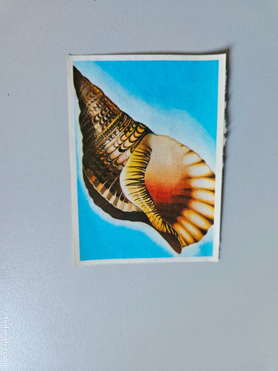 Coleccionismo Cromos antiguos: Panorama animales y plantas cromo n&ordm; 234, &aacute;lbum Maga, 1976