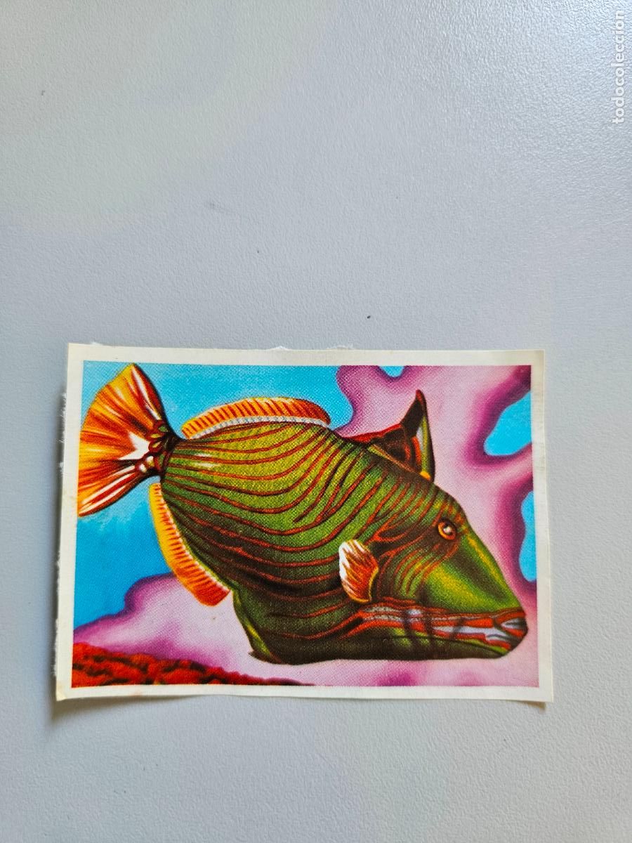 Coleccionismo Cromos antiguos: Panorama animales y plantas cromo n&ordm; 244, &aacute;lbum Maga, 1976