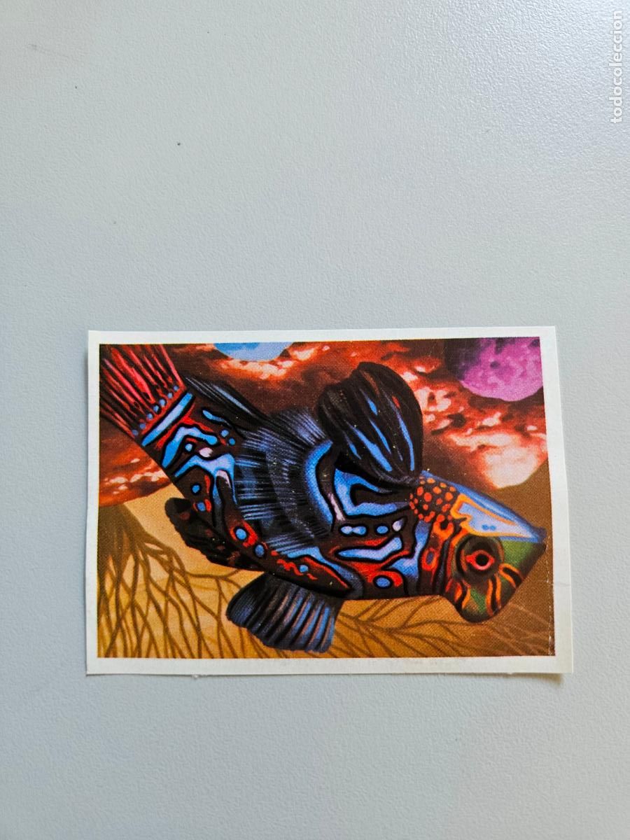 Coleccionismo Cromos antiguos: Panorama animales y plantas cromo n&ordm; 245, &aacute;lbum Maga, 1976