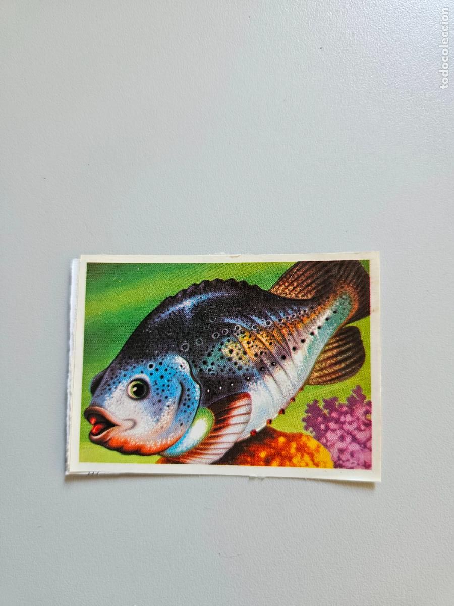 Coleccionismo Cromos antiguos: Panorama animales y plantas cromo n&ordm; 246, &aacute;lbum Maga, 1976