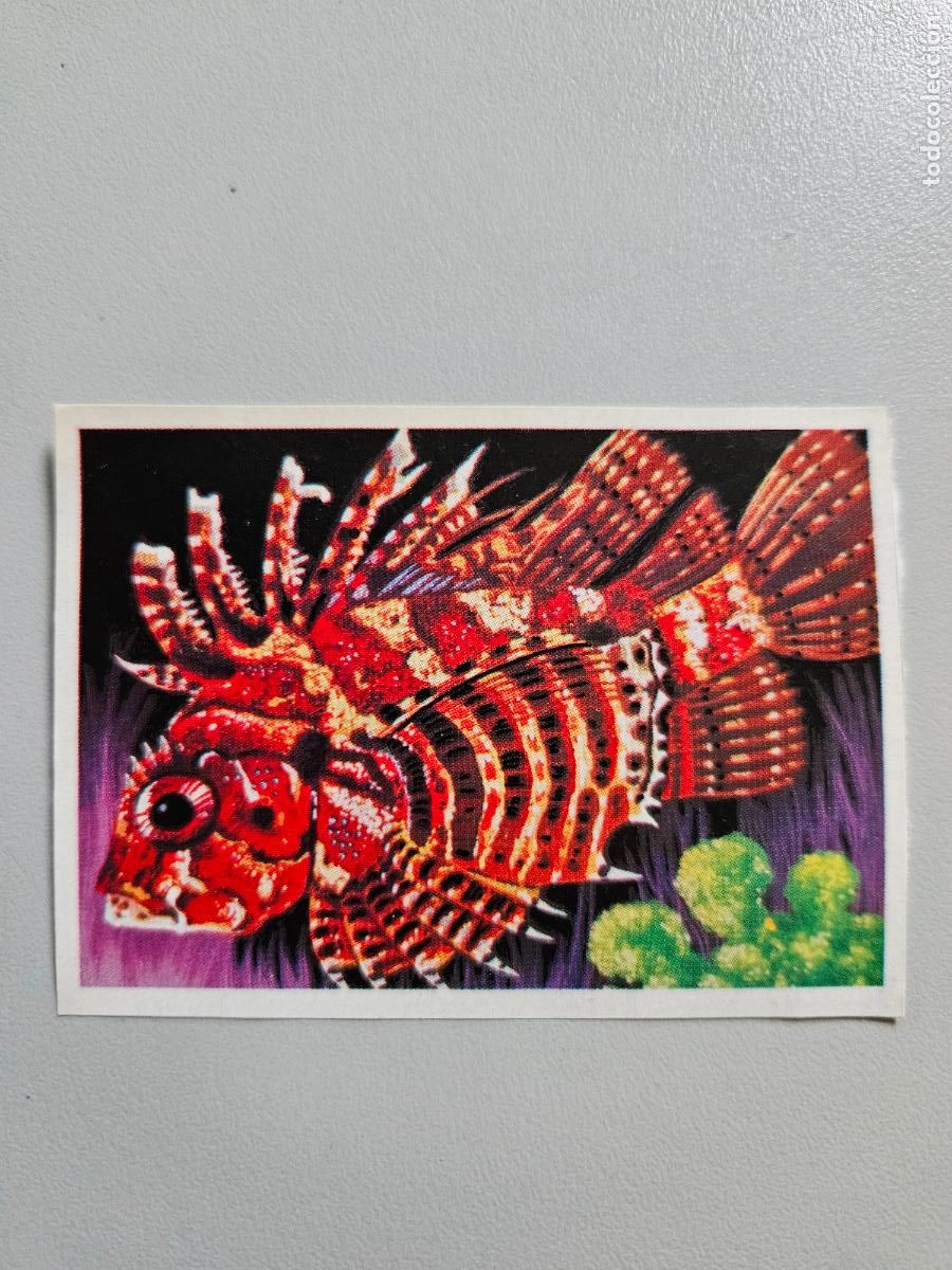 Sammeln alte Sammelbilder: Panorama animales y plantas cromo n&ordm; 254, &aacute;lbum Maga, 1976