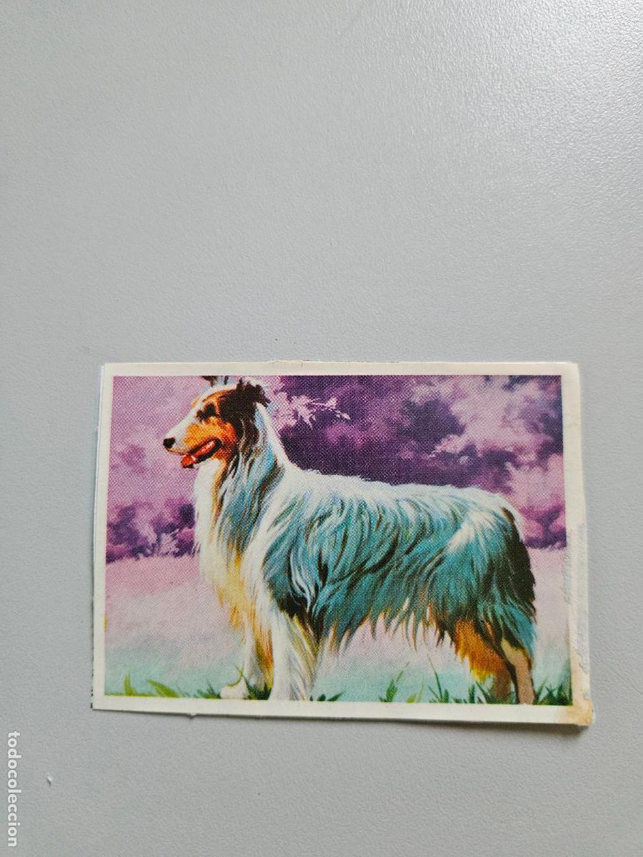 Collezionismo Figurine antiche: Panorama animales y plantas cromo n&ordm; 264, &aacute;lbum Maga, 1976