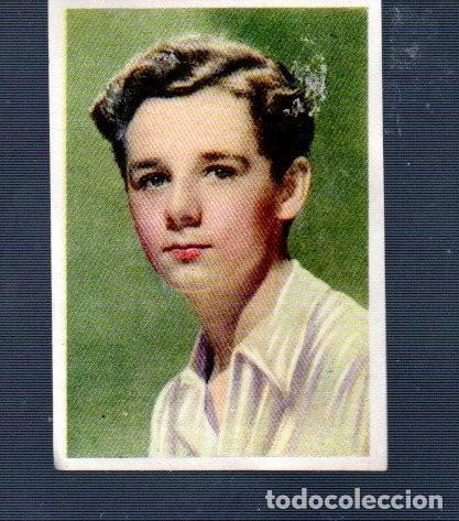 Colecionismo Cromos antigos: CROMO CINEFOTO EDITORIAL BRUGUERA I -2-A N&ordm;4 FREDDIE BARTHOLOMEW DEL A&Ntilde;O 43