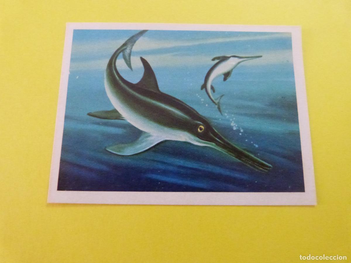 Coleccionismo Cromos antiguos: CROMO DE EL MAR FUENTE DE VIDA DESPEGADO N&ordm; 13 A&Ntilde;O 1973 DEL ALBUM EL MAR FUENTE DE VIDA RUIZ ROMERO