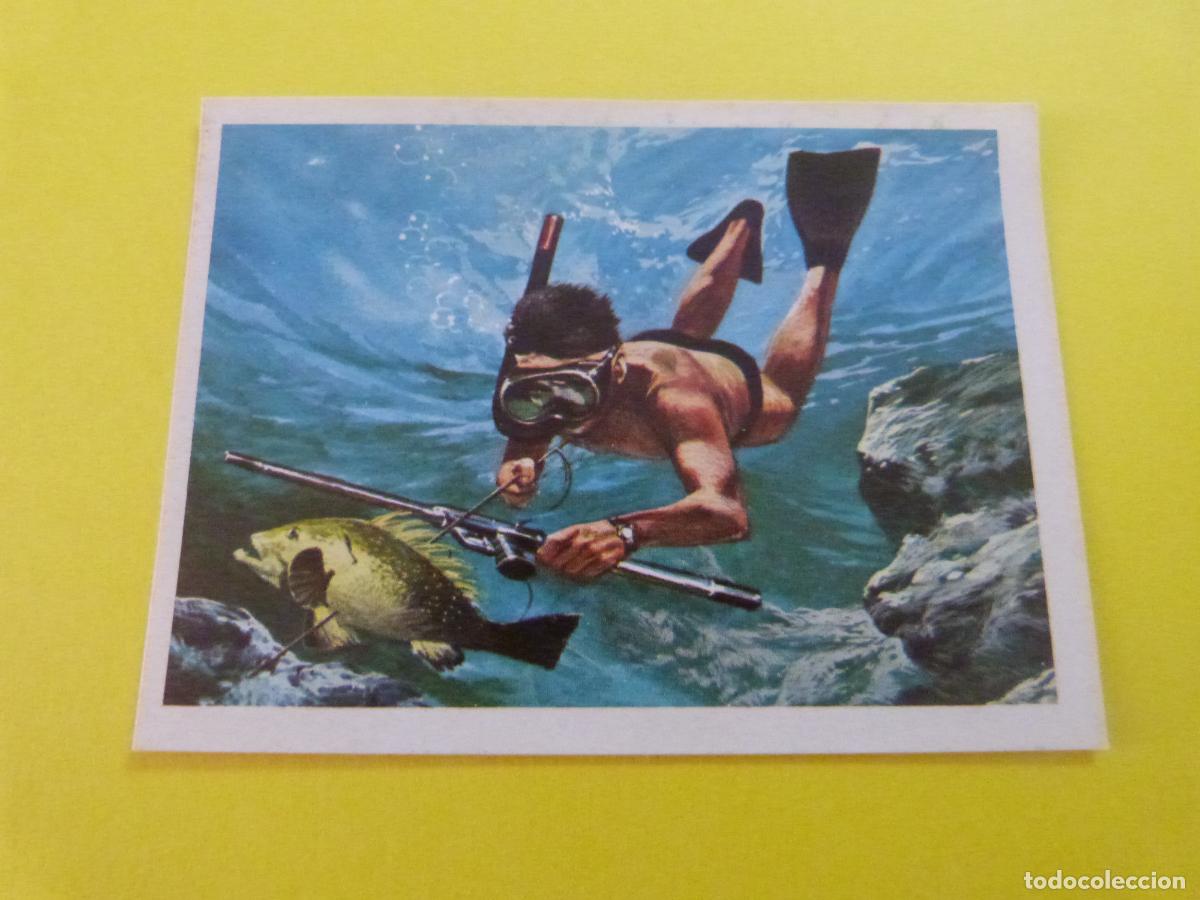 Coleccionismo Cromos antiguos: CROMO DE EL MAR FUENTE DE VIDA DESPEGADO N&ordm; 169 A&Ntilde;O 1973 DEL ALBUM EL MAR FUENTE DE VIDA RUIZ ROMERO