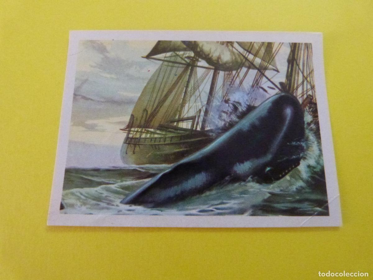 Coleccionismo Cromos antiguos: CROMO DE EL MAR FUENTE DE VIDA DESPEGADO N&ordm; 217 A&Ntilde;O 1973 DEL ALBUM EL MAR FUENTE DE VIDA RUIZ ROMERO