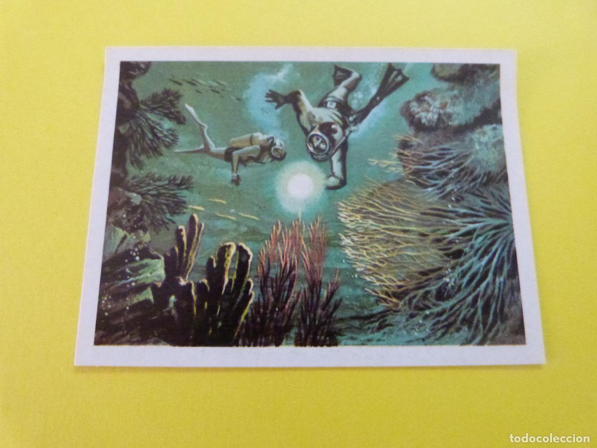 Coleccionismo Cromos antiguos: CROMO DE EL MAR FUENTE DE VIDA DESPEGADO N&ordm; 230 A&Ntilde;O 1973 DEL ALBUM EL MAR FUENTE DE VIDA RUIZ ROMERO