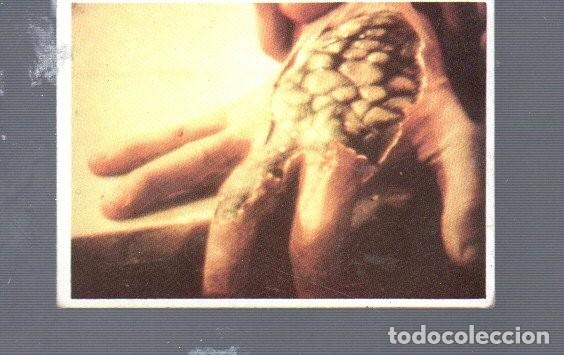 Coleccionismo Cromos antiguos: CROMO DE SERIE DE LA TELE V EDITOR WARNER BROS EL A&Ntilde;O 1984 N&ordm; 82 ESTUVIERON PEGADOS