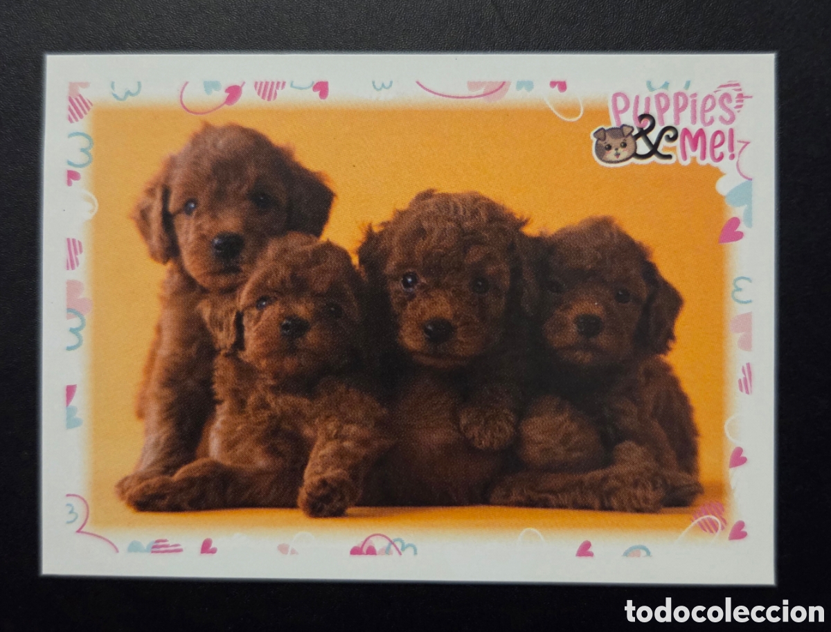 Coleccionismo Cromos antiguos: Cromo n&deg; 2 Puppies and me Panini 2021