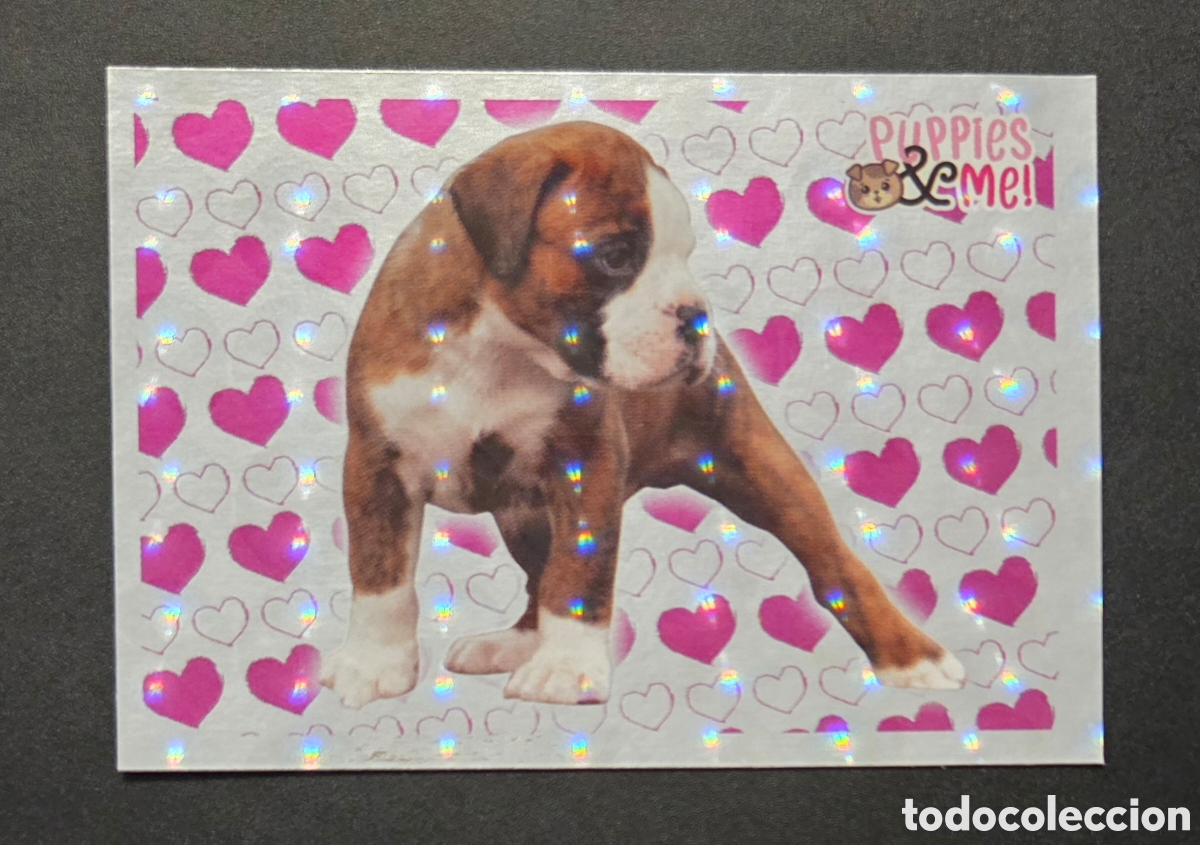 Coleccionismo Cromos antiguos: Cromo n&deg; 10 Puppies and me Panini 2021