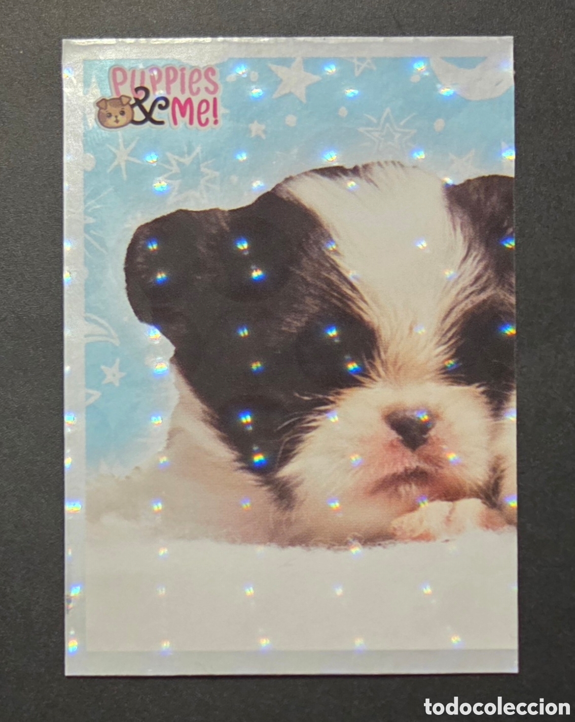 Coleccionismo Cromos antiguos: Cromo n&deg; 55 Puppies and me Panini 2021