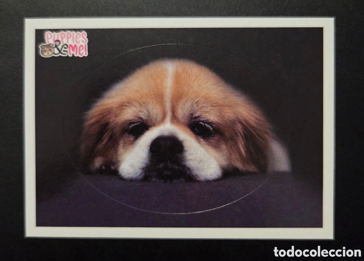 Coleccionismo Cromos antiguos: Cromo n&deg; 61 Puppies and me Panini 2021